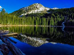 The gunnison national forest is a u.s. Hd Wallpaper United States Gunnison National Forest Snow Trees Lake Wallpaper Flare