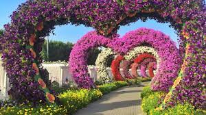 Where is the world's largest natural flower garden. Miracle Garden Dubai World S Largest Natural Flower Garden Ø¨Ø²Ø±Ú¯ØªØ±ÛŒÙ† Ø¨Ø§Øº Ú¯Ù„ ØªØ§Ø²Ù‡ Ø¯Ø± Ø¬Ù‡Ø§Ù† Youtube
