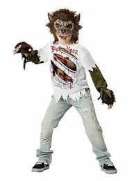 Wolfsjunge Kinderkostum Fantasias Fantasia De Lobisomem Disfarces Halloween