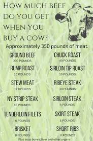 Buying A Steer How Much Meat Will You Get And What To Do With The Beef Healthy Happy Thrifty Family Buy A Cow Beef Types Of Meat