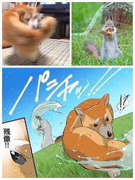 Battle Doggo The Saga Continues Anime Memes Funny Funny Animal Memes Really Funny Memes