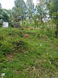 Cari dan beli lahan tanah yang dijual lengkap mulai dari info lokasi dan penawaran harga murah terjangkau! Tanah Dijual Bandung Jualsewatanah Com