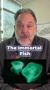 Empire Jellyfish Fisch