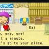 Download and play the harvest moon: 1