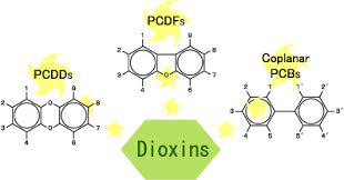 Oxygen atoms and contain four to eight chlorines, for a. About Dioxins International Accreditation Japan Iajapan National Institute Of Technology And Evaluation Nite