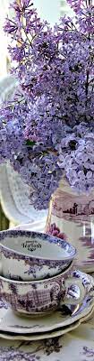 Tea Tosh Lilac Tea Flower Tea Purple Flowers Pretty Flowers