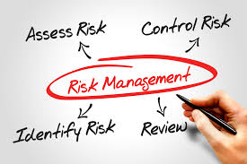 Risk Management Process Flow Chart Archives Conduit Consulting