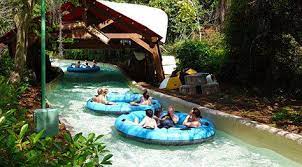 10 Best Disney World Water Park Rides Disney World Water Parks Water Park Water Park Rides