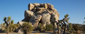 Unlike other national parks, joshua tree's peak season is not its summer months. Ryan Campground Joshua Tree National Park Palm Springs California Womo Abenteuer