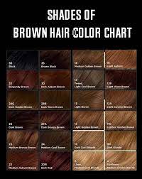 Toffee brown is a warm, burnished bronze hair color shade. Shades Of Brown Hair Color Chart Min Rengarenk Sac Acik Kahve Sac Boyali Sac