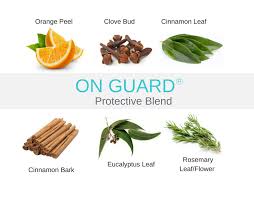 Experience pure doterra® oils today see why doterra® oils are so potent On Guard Protective Essential Oil Blend Jade Balden