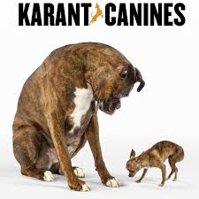 We did not find results for: Family Pet Animal Hospital Home Facebook