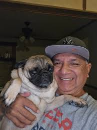 LET'S GO New York Yankees N TRMASMT!!!!! NX 4T1C arfees ankee