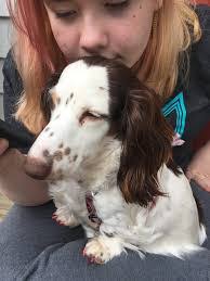 Tammy Lantrip's Instagram, Twitter & Facebook