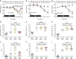 Scrutiny meaning, definition, what is scrutiny: Inhibition Of Gelatinase B Mmp 9 Does Not Attenuate Colitis In Murine Models Of Inflammatory Bowel Disease Nature Communications