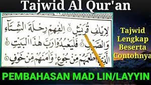 Kemudian untuk cara membaca dari jenis hukum bacaan mad layyin adalah dengan sekedar lunak dan lemas saja. Mad Layyin Dan Contohnya Mad Lin Lengkap Beserta Contohnya Youtube