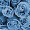 25+ blue aesthetic tumblr computer images, hd photos. Https Encrypted Tbn0 Gstatic Com Images Q Tbn And9gcstaiuwwgonypknuty37ohzkhope7dxcr1osbvtf1in Lw Pl K Usqp Cau