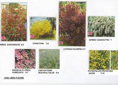 Pepinieres Hamblenne Pepiniere Plantes Vivaces Arbres Arbustes Pepinieriste Namur Belgique