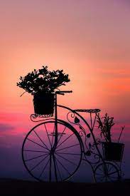 Instagram Challenge Bicycles - Silhouette Photography Amazing Photography Art Photography
