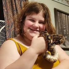 How to feed a ball python that won't eat?