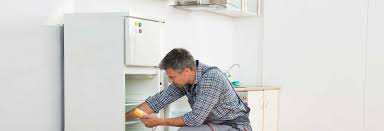 Mini Fridge Repair Service