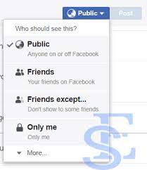 I posted to a closed group which i'm a member. Make Facebook Post Shareable Share Button On Fb Easy Step Guide