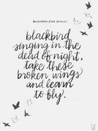 Blackbird Singing In The Dead Of Night Lyrics Hope Blackbird Singing In The Dead Of Night Take These Broken Wings And Learn To Fly The Beatles Th Popular Song Quotes Song Lyric Quotes Lyric Quotes