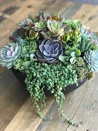 #succulent arrangement #succulent planter #succulent garden #succulent #succulents #garden guardian #garden guardians #garden #echeveria #terracotta pot #terracotta pots #terracotta. Pin On Gardening