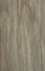 Image result for Parinari excelsa