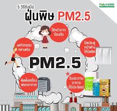 ฝุ่น pm 2.5 ทำให้เกิดปัญหาสิวและผื่นแพ้ hello! 5 à¸§ à¸ à¸£ à¸à¸¡ à¸­ à¸ à¸à¸ à¸© Pm 2 5 Proherb