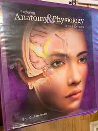 Brahmin Harker Belt Bag