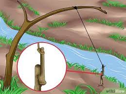 The fixed snare, this small game snare technique is the one i use when i snare, tide to something solid the snare stops the animal from running away and makes finding it easy. How To Make A Snare Trap With Pictures Wikihow