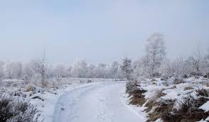 De waarschuwing vanwege extreem en gevaarlijk weer geldt alleen (nog) niet in limburg. W0bdl0gjhfjsim