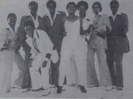 Image result for Dark Coppertone 1983 Fedders