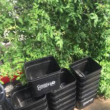Check spelling or type a new query. Hydroponic Seed Strains Selections Grozinegrozine