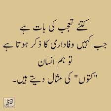 Quotes In Urdu Urdu Quotes Smss Motivational And Urdu Quotes Daily Inspiration Quotes Urdu Words