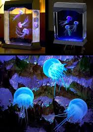 Featuring custom changing led lights to suite the mood. Jellyfish Aquarium Jellyfish Aquarium Jellyfish Tank Jellyfish Aquarium Fish Tank