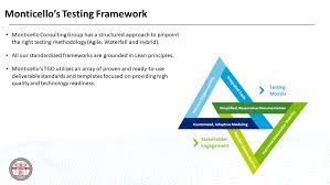 Software testing governance is a test discipline for software systems delivery which governs the test management process by the means of app. Monticello Consulting Group Testing Governance