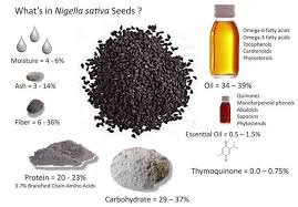 Minyak habbatussauda (nigella sativa) 100%. Jinten Hitam Nigella Sativa Dan Manfaatnya Ulya Days