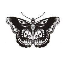 One Direction Gifts Merchandise Harry Styles Tattoos Harry Styles Butterfly Harry Tattoos
