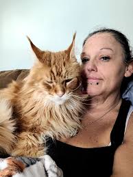 In our orange cat era! 🧡✨