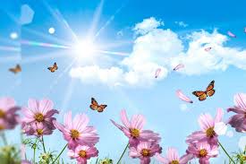 Fill your cart with color today! 12 Best Free Summer Wallpapers Of 2021