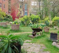 Phoenix Garden London London Plants Garden