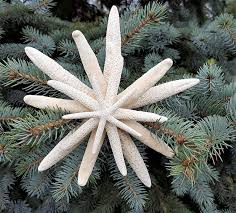 Check spelling or type a new query. Beach Christmas Ornaments For That Coastal Christmas Vibe Wherever You Are Seashell Madness