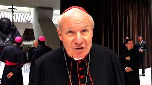 Various members of the family have held high offices of the roman catholic church and the holy roman empire over the course of centuries, including as bishops, prince bishops. Kardinal Schonborn Zu Kinderschutz Gipfel Starke Erfahrung Von Synodalitat Vatican News