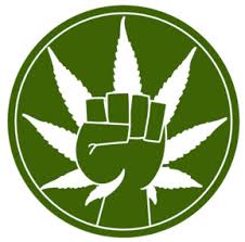 Wir haben jetzt mit der freigabe von cannabis für medizinische zwecke auf rezept einen großen schritt gemacht. Pro Contra Legalisierung Von Cannabis In Deutschland Online Petition