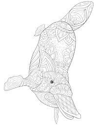 More 100 coloring pages from animal coloring pages category. Platypus Coloring Book For Adults Vector Stock Vector Illustration Of Sketch Drawn 73007227