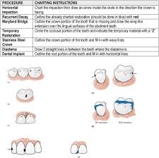 Introduction To Charting Tooth Surfaces M Mesial D