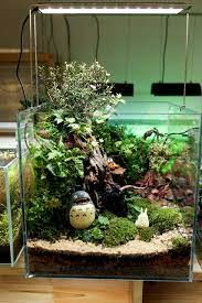 Kodama Fish Tank Google Search Fish Tank Terrarium Betta Fish Tank Pet Garden