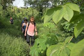 Invalid date sittingbourne to dover to. More Hikers Caught Straying Off Designated Trails Last Year Singapore News Top Stories The Straits Times